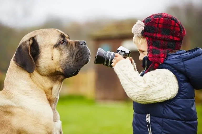 a small boy taking a photo of a dog