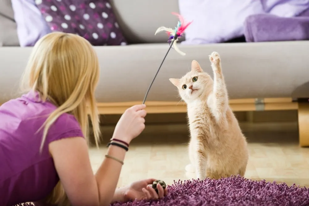 a girl playing with a cat with a cat wand