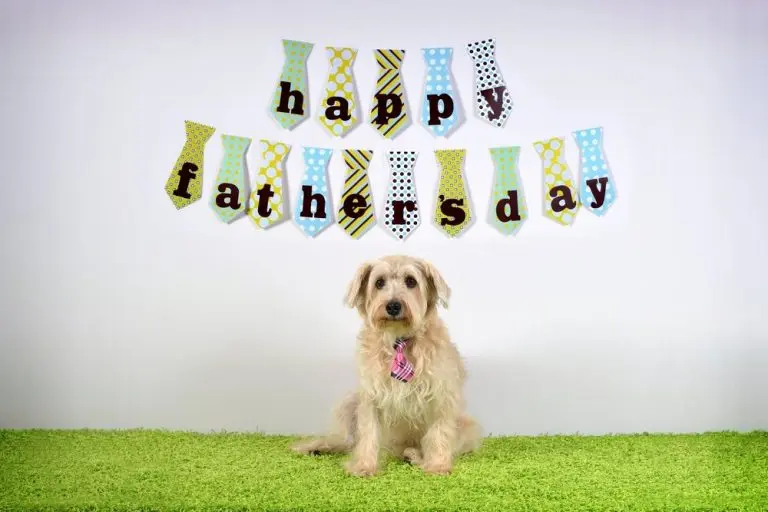 fathers day gifts for dog lovers