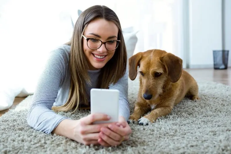 do dogs see in color