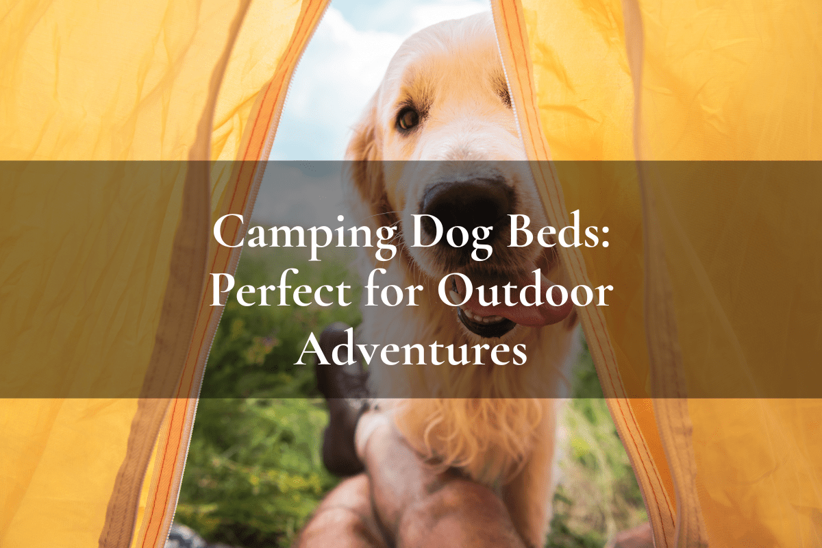 dog looking through the flap of a tent