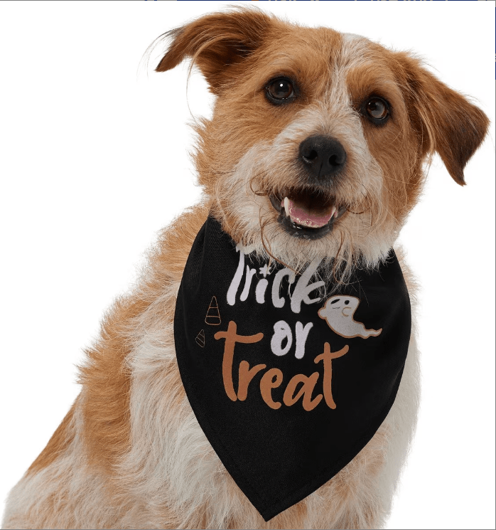 Frisco Trick or Treat Dog & Cat Bandana