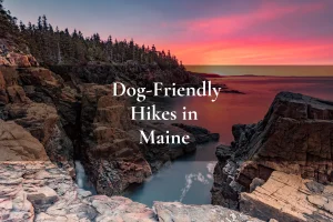 Acadia National Park, Maine