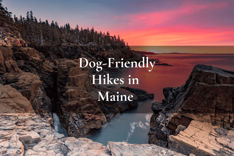 Acadia National Park, Maine