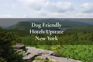 The Catskills, Upstate New York