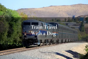 A train travelling across the USA