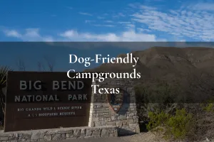 Big Bend National park Texas