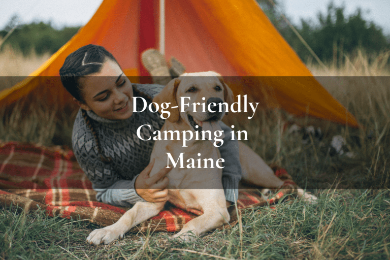 girl and dog lying outside of a tent