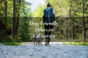 woman and small dog hiking