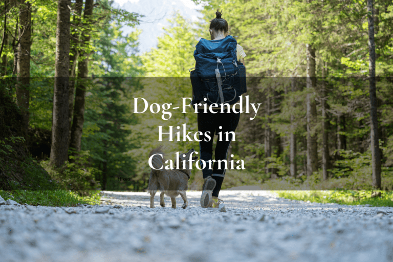 woman and small dog hiking