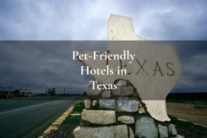 pet-friendly hotels in Texas