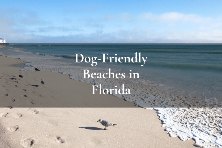 Miami beach, Florida